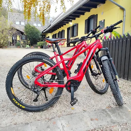 Gasthuis Forras Vendeghaz 3*