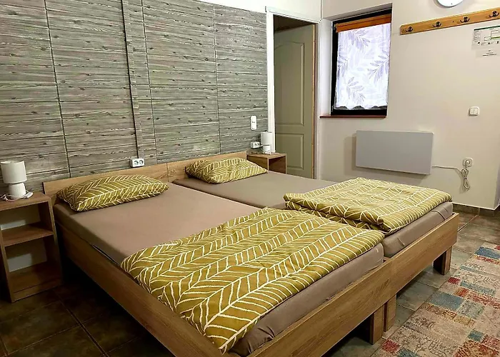 Guest house Forras Vendeghaz 3*